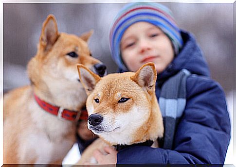 children and dogs