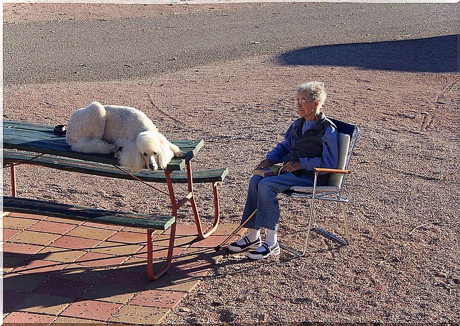 mujer de 90 años viaja con su perro 2