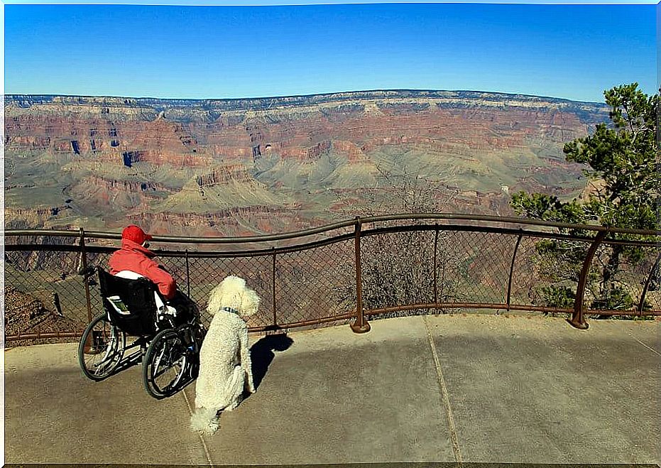 mujer de 90 años viaja con su perro 3