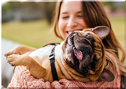 What to do if my dog ​​has irritated skin