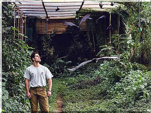 Henry Cavill: Conservation Ambassador