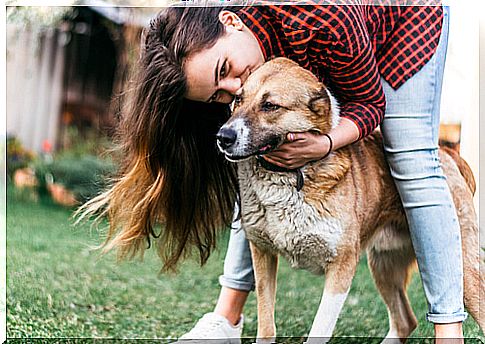 Happy dog ​​for the arrival of his master