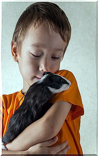 Child with guinea pig