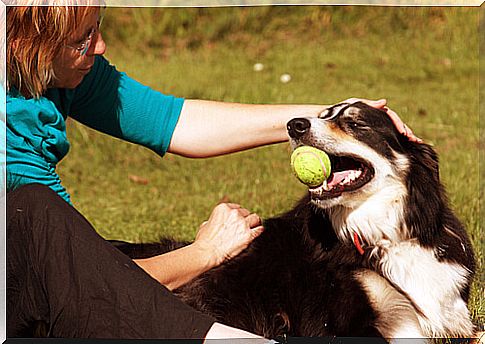 Know the best ways to strengthen the bond with your dog