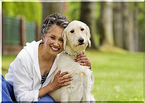 dog and elderly person