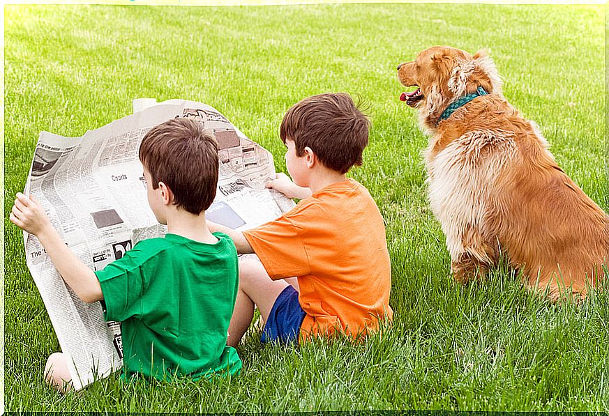 Animal news arouses curiosity in children.