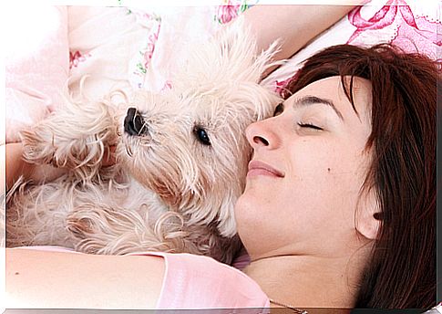 Pros and cons of sleeping with your pet, what do you think?