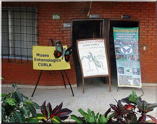 Entrada del Museo entomológico CURLA.