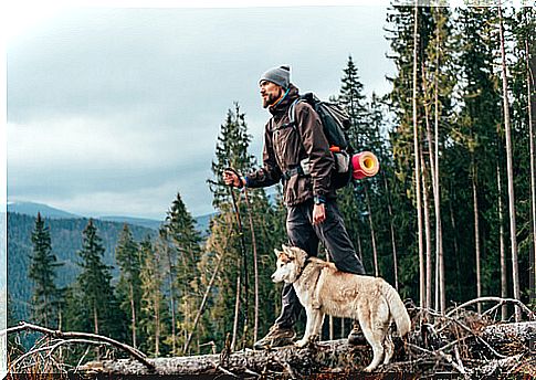 Tips for hiking with your dog