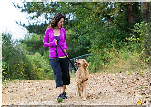 Hiking with pets