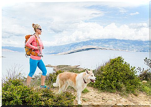 Hiking with animals