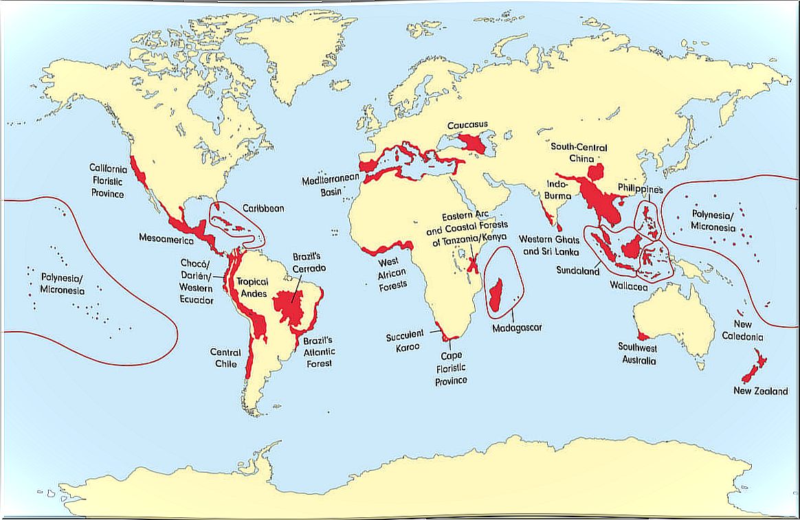 Un mapa mundial con los puntos críticos de biodiversidad.